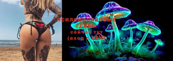 круглые Козельск