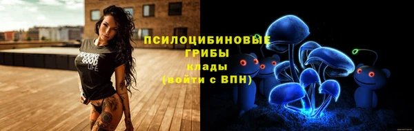 СК Козловка