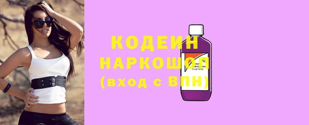 СК Козловка