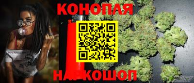 дживик Донецк