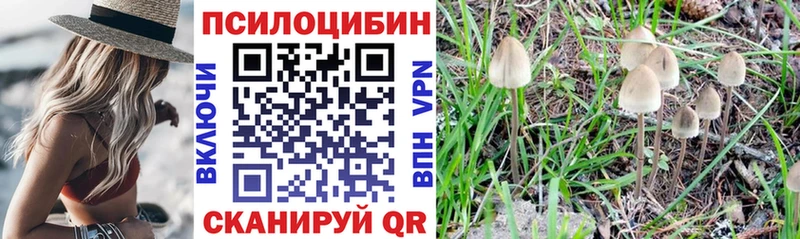 Псилоцибиновые грибы прущие грибы  купить закладку  Назрань 