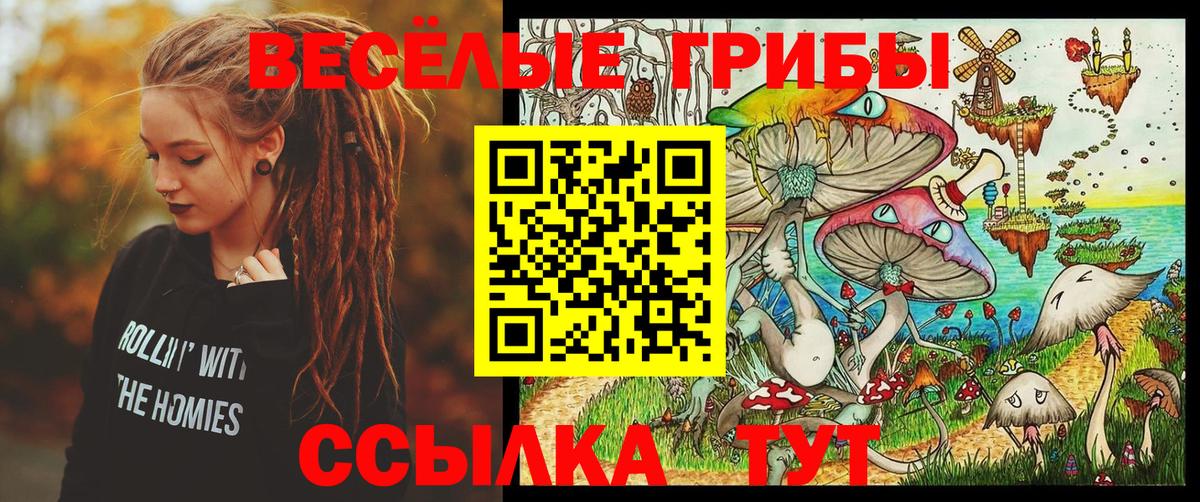 Галлюциногенные грибы мухоморы  Вход с VPN  Назрань 