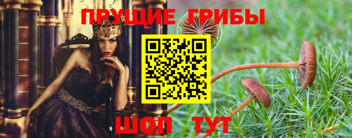 Галлюциногенные грибы MAGIC MUSHROOMS Назрань