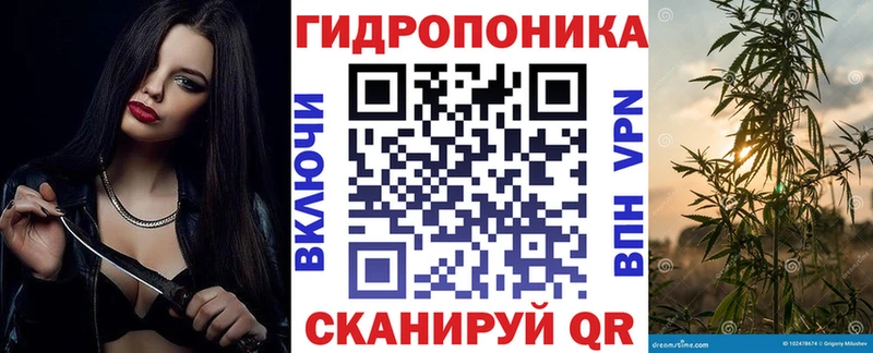 Марихуана сатива  Назрань 